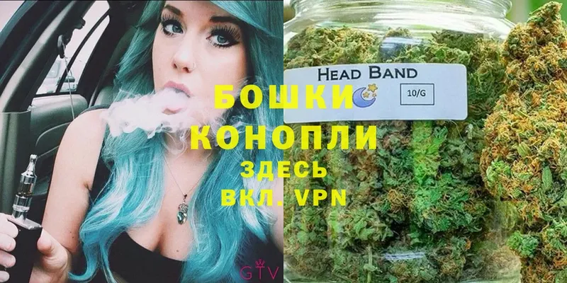 Шишки марихуана OG Kush  Тара 